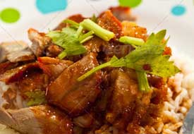 网页攻击器教程